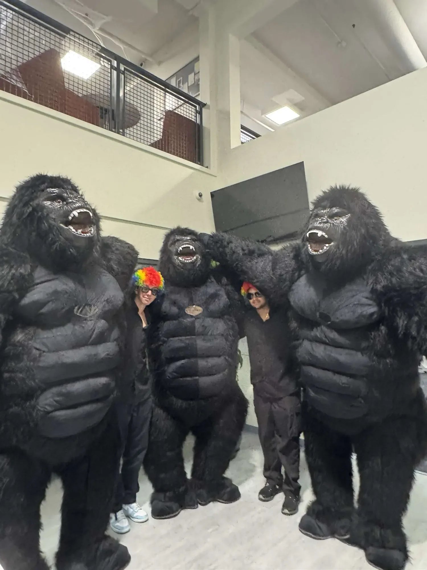 Inflatable 2M/2.6M/3M Big King Kong Gorilla Mascot Cosplay Costumes Party Advertising Plush Cartoon Doll Clothing Adult Fursuit